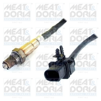 Oxygen Sensor